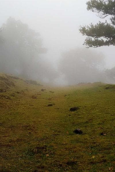 Cover of The Sleeping Shadows
