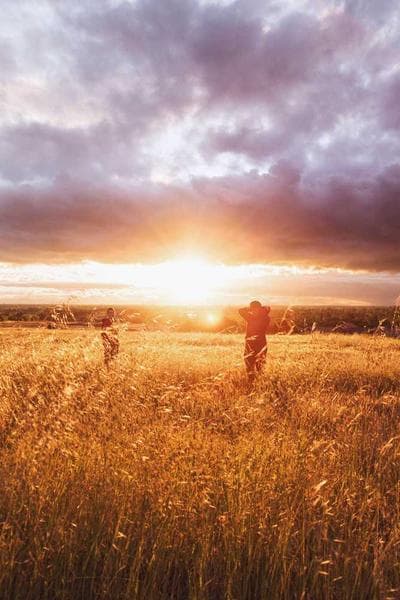 Cover of When the Dawn Rose