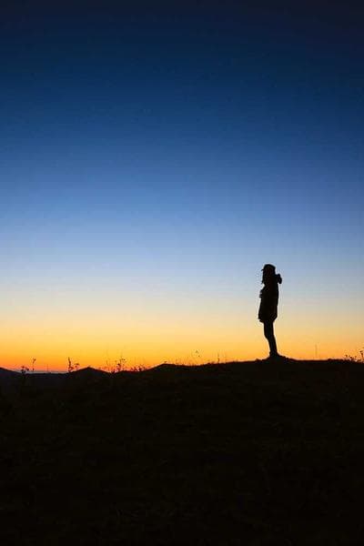 Cover of The Rising Silence