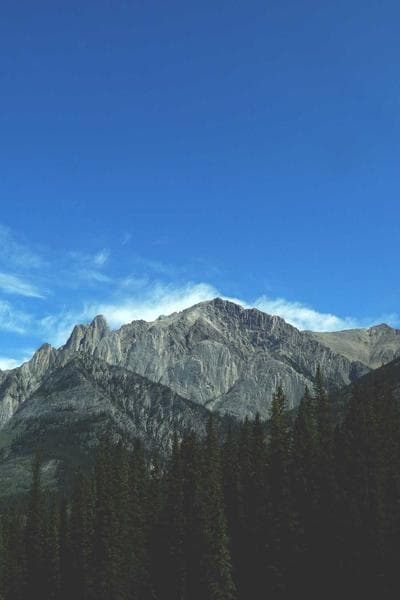 Cover of A Silver Moons