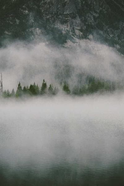 Cover of The Endless Shadows