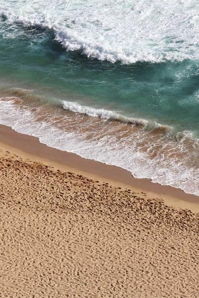 Cover of Ancient Sea