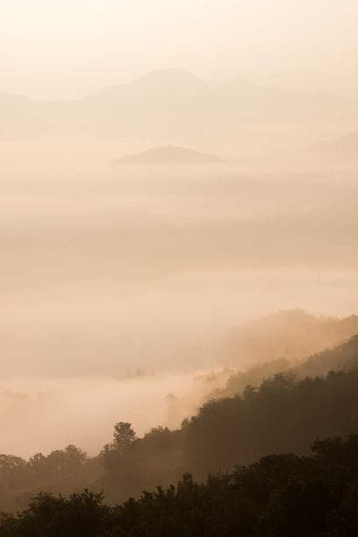 Cover of The Rising Silence